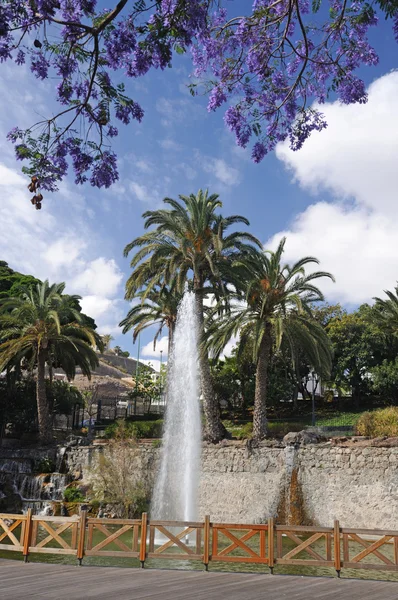 Doramas Park in Las Palmas de Gran Canaria, — Stock Photo, Image