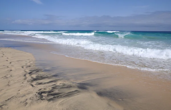 Пляж на Канарском острове Фуэртевентура, Испания — стоковое фото