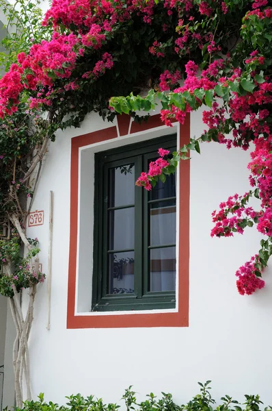 Window in Puerto de Mogan, Grand Canary Spain — Stock Photo, Image