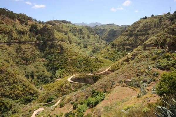 グラン カナリア島の緑の谷 — ストック写真