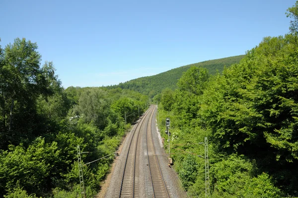 stock image Railroad track running through a green landscape