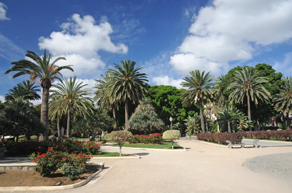 Parku Doramas v las palmas de gran canaria — Stock fotografie