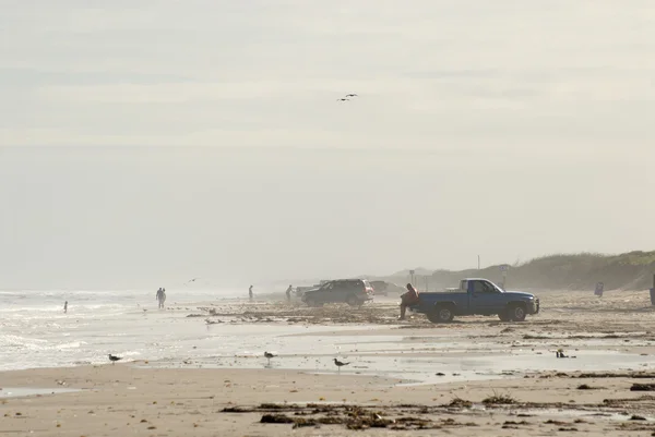 Padre island beach efter orkanen ike, södra texas, usa — Stockfoto