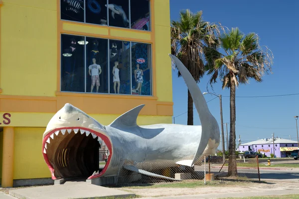 Tubarão em frente a uma loja — Fotografia de Stock