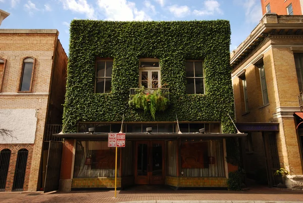 Green building in San Antonio, Texas — Stock Photo, Image