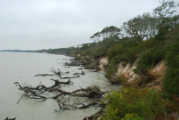 Línea costera en Aransas Wildlife Refuge, Texas — Foto de Stock