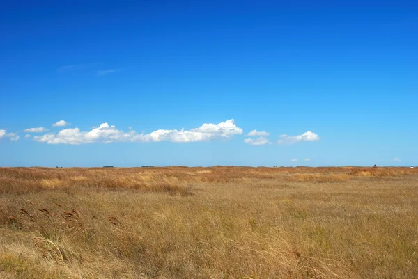 草地和蓝色的天空，帕德里岛，德克萨斯州 — 图库照片