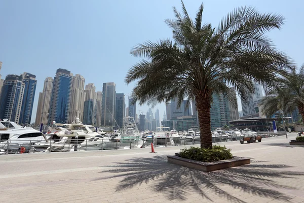 Променад Dubai Marina — стоковое фото