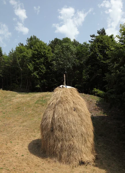 Hay stack on a meadow in Croatia — Stock fotografie