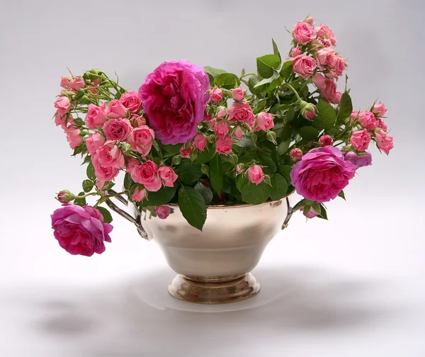 Flores rosa — Foto de Stock