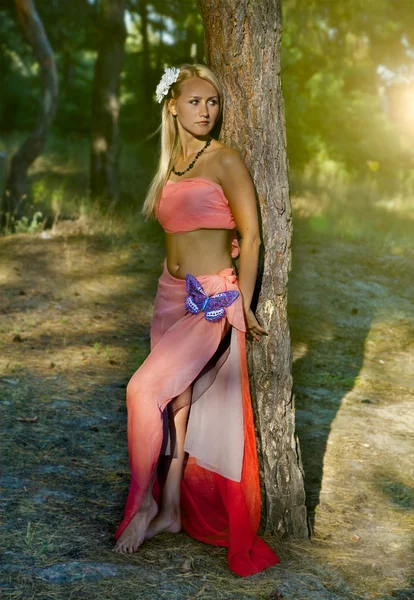 Beautiful romantic woman at fairy forest — Stock Photo, Image