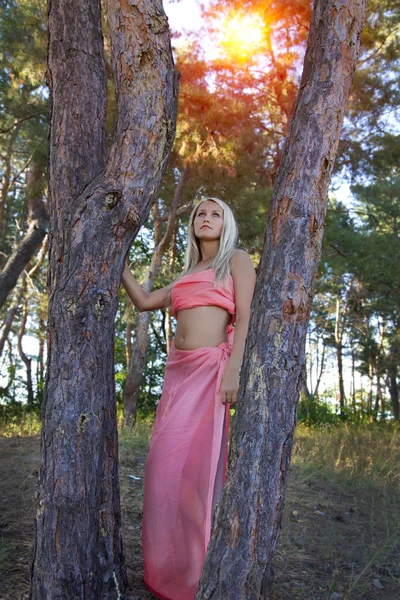 Bella donna romantica nella foresta delle fate — Foto Stock