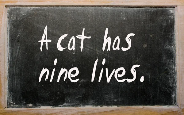 "A cat has nine lives" written on a blackboard — Stock Photo, Image
