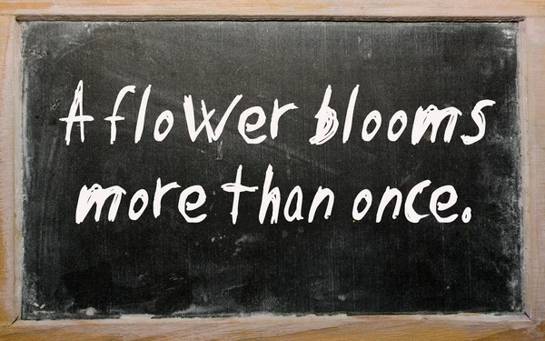 "A flower blooms more than once" written on a blackboard — Stock Photo, Image
