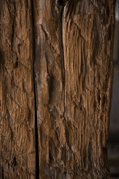 Donker ruw hout — Stockfoto