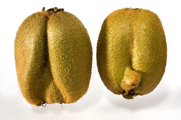stock image Kiwifruit