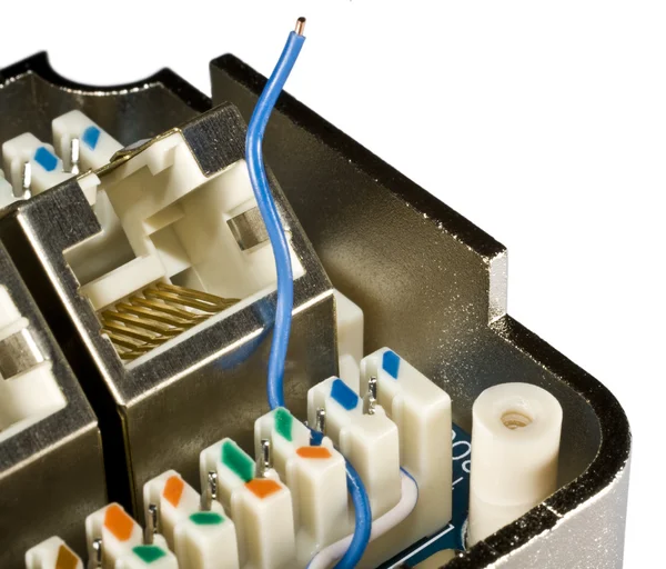 Blå Ethernet-kabeln — Stockfoto