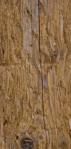 Holzkonstruktion mit Wurmlöchern — Stockfoto