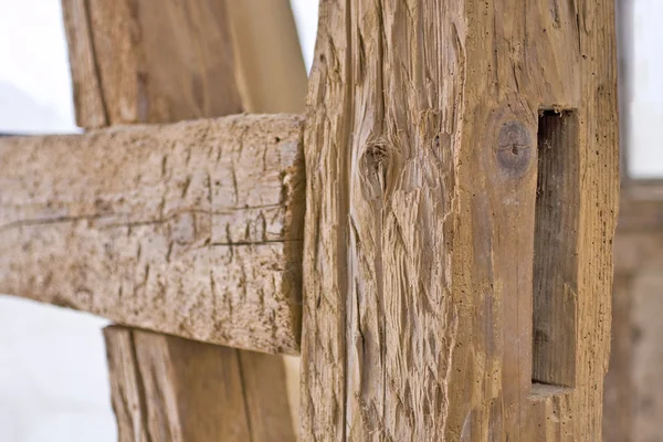 Carcasa vieja con lombriz de madera — Foto de Stock