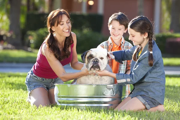Mãe Filho & Filha Família Lavar Pet Dog Em uma banheira — Fotografia de Stock