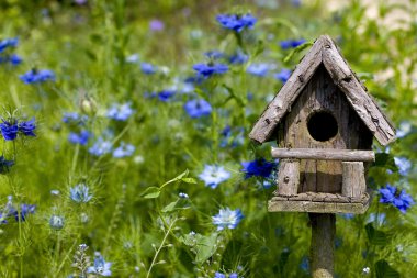 Birdhouse Among the Flowers clipart