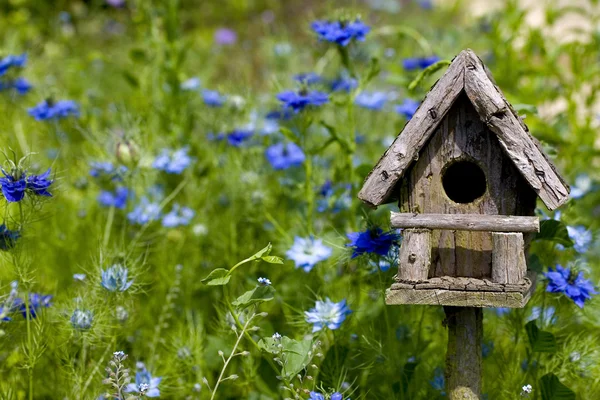 Birdhouse onder de bloemen — Stockfoto