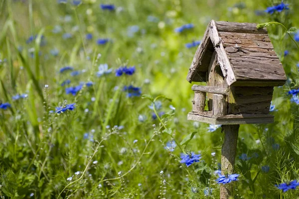 Birdhouse Among the Flowers — Stock Photo, Image