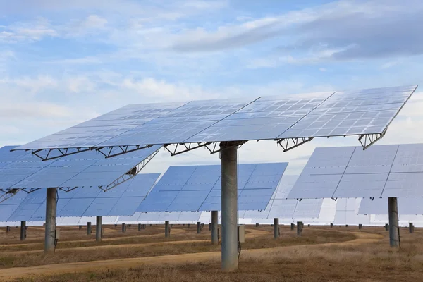 Een gebied van groene hernieuwbare zonne-spiegel panelen — Stockfoto