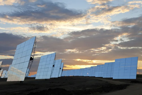 Een gebied van groene energie zonne-spiegel panelen bij zonsondergang — Stockfoto