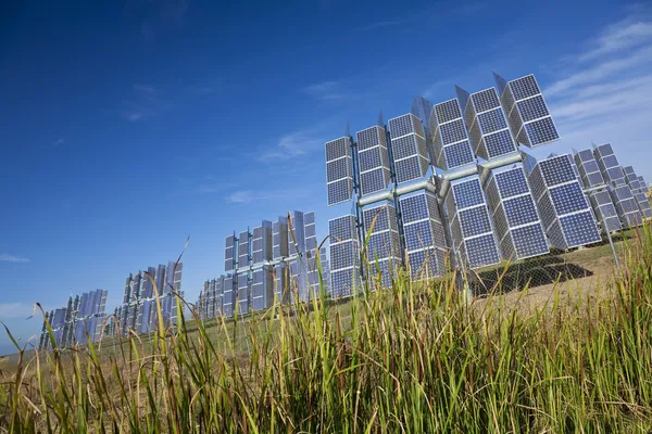 Campo de energía verde renovable Paneles solares fotovoltaicos —  Fotos de Stock