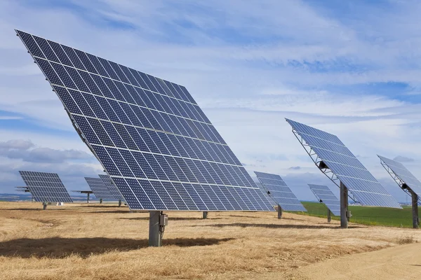 Campo de energía verde Paneles solares fotovoltaicos —  Fotos de Stock