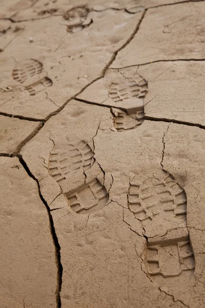 stock image Footprints in Cracked Earth