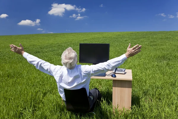 Businessman Celebrating Arms Raised At Desk In Green Field — Stockfoto