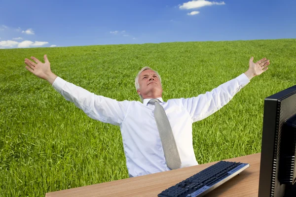 Успешный бизнесмен в зеленом поле — стоковое фото