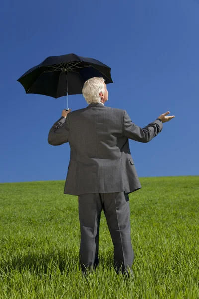 Biznesmen w zielone pole z parasolem — Zdjęcie stockowe