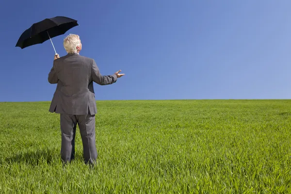 Geschäftsmann auf der grünen Wiese mit Regenschirm — Stockfoto