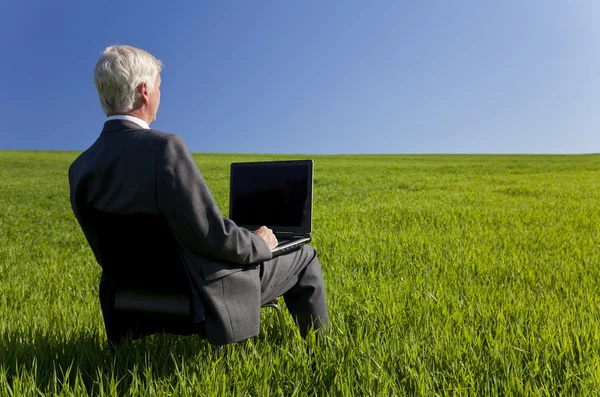 Céu Azul Pensando Empresário Usando Computador portátil em Fie Verde — Fotografia de Stock