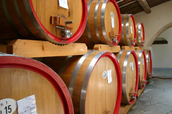 Beczki wina chianti w piwnicy winiarni — Zdjęcie stockowe