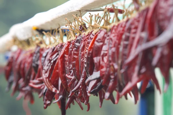 Сушеные красные чили для продажи на рынке — стоковое фото