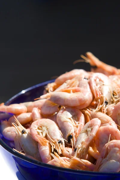 Stock image Bowl of Shrimps