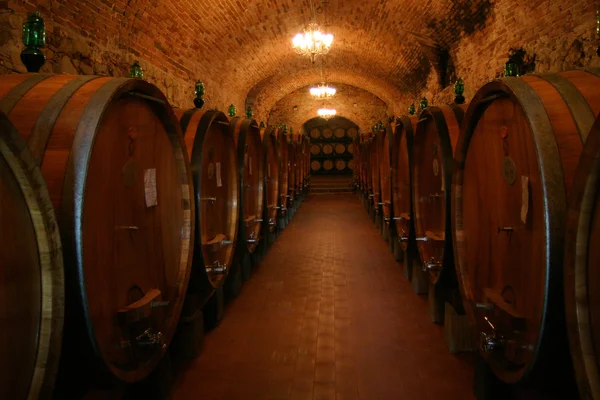 Sudy vína chianti ve sklepě vinařství — Stock fotografie