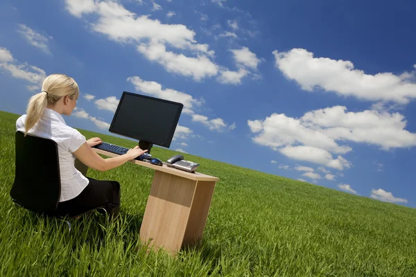 Empresária usando o computador em um campo verde — Fotografia de Stock