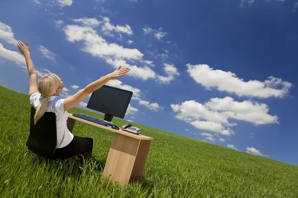 緑の野原でコンピューターを使用して実業家 — ストック写真