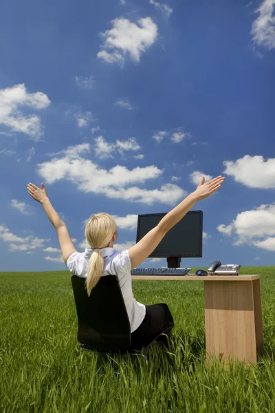 Geschäftsfrau nutzt Computer auf der grünen Wiese — Stockfoto
