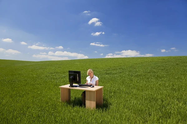 Бизнесмен, использующая компьютер в зеленом поле — стоковое фото