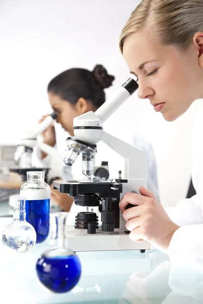Equipe de pesquisa científica feminina usando microscópios em um laboratório — Fotografia de Stock
