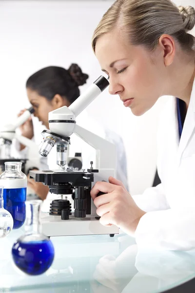 Vrouwelijke wetenschappelijke onderzoeksteam microscopen met een laborator — Stockfoto