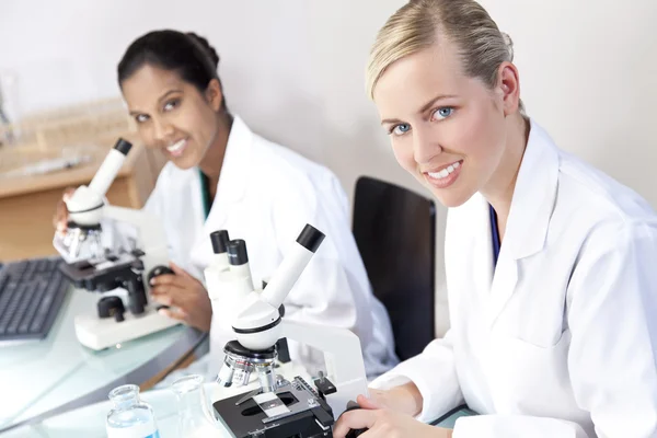 Equipe de pesquisa científica feminina usando microscópios em um laboratório — Fotografia de Stock