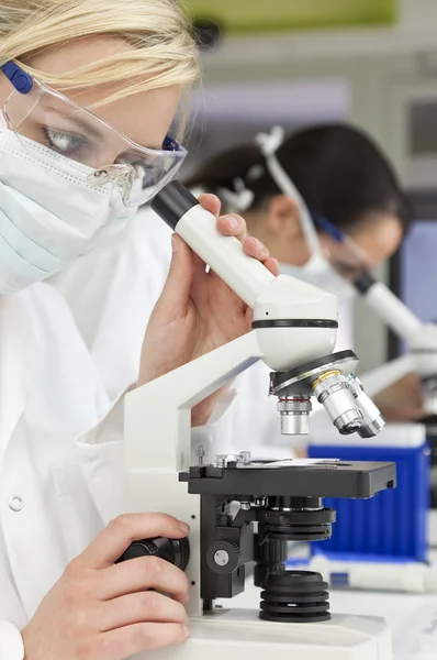 Equipo de Investigación Científica Femenina Usando Microscopios en un Laborador —  Fotos de Stock