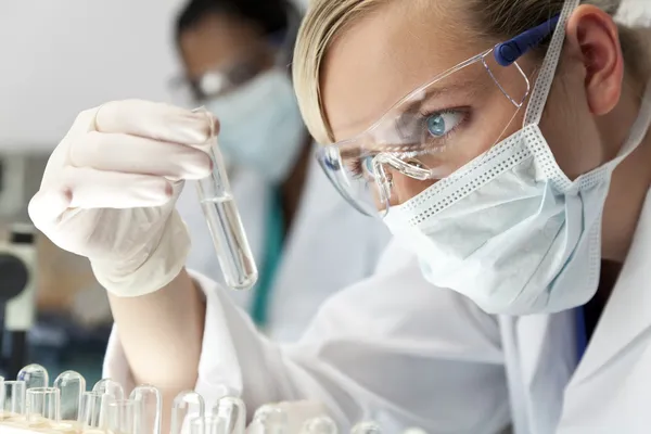 Vrouwelijke wetenschappelijke onderzoeksteam met heldere oplossing in laborator — Stockfoto